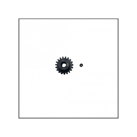 Corsatec motor pinion gear 19 T m1 - CORSATEC - CT60009-19