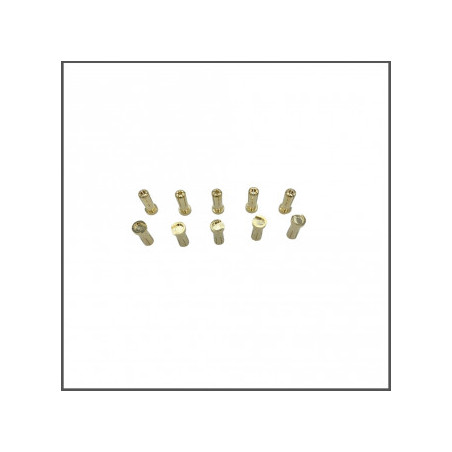 Corsatec 5mm plugs flat 10pcs - CORSATEC - CT60024