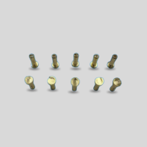 Corsatec 4mm plugs flat...